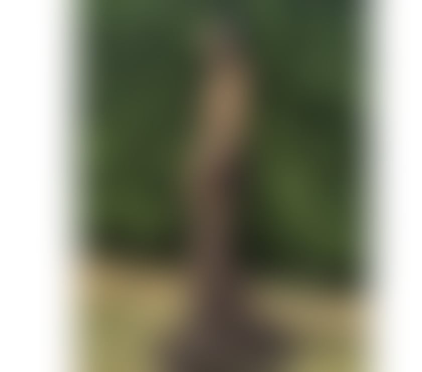 Escorts West Yorkshire Leeds - Photos for Hello. Gentlemen I am Amanda Thailand 😍🥰😍