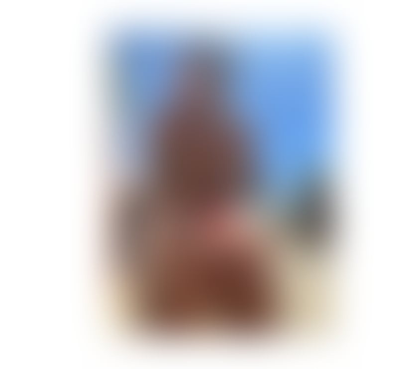 Escorts South East London Crystal Palace - South East London - Photos for Hi guys call me x