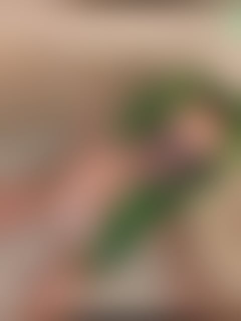 Escorts Brent Wembley - Brent - 