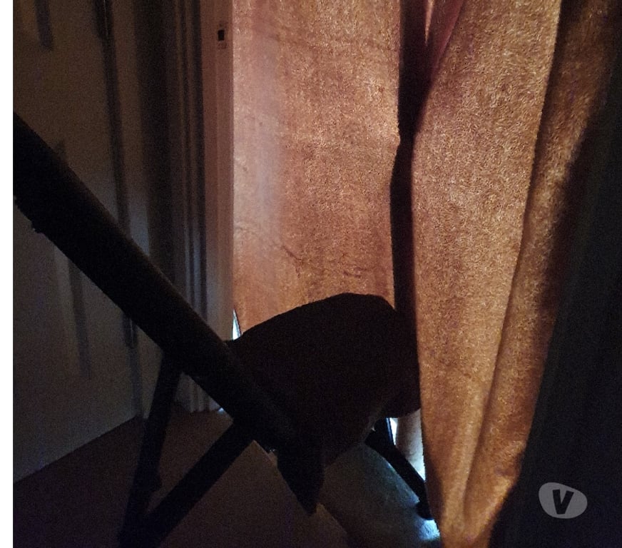  Gay massage Edinburgh South Queensferry - Edinburgh - Photos for Need a discreet break? I've got you covered...