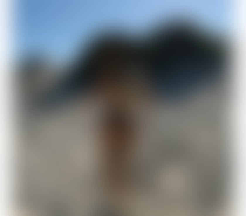 Escorts Somerset Taunton - Somerset - Photos for Karol 🇧🇷 Body Natural 🥂💋🥵