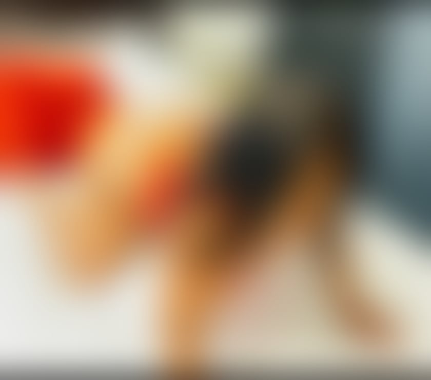 Escorts West Midlands Birmingham - Photos for Curvey coco 💋💋