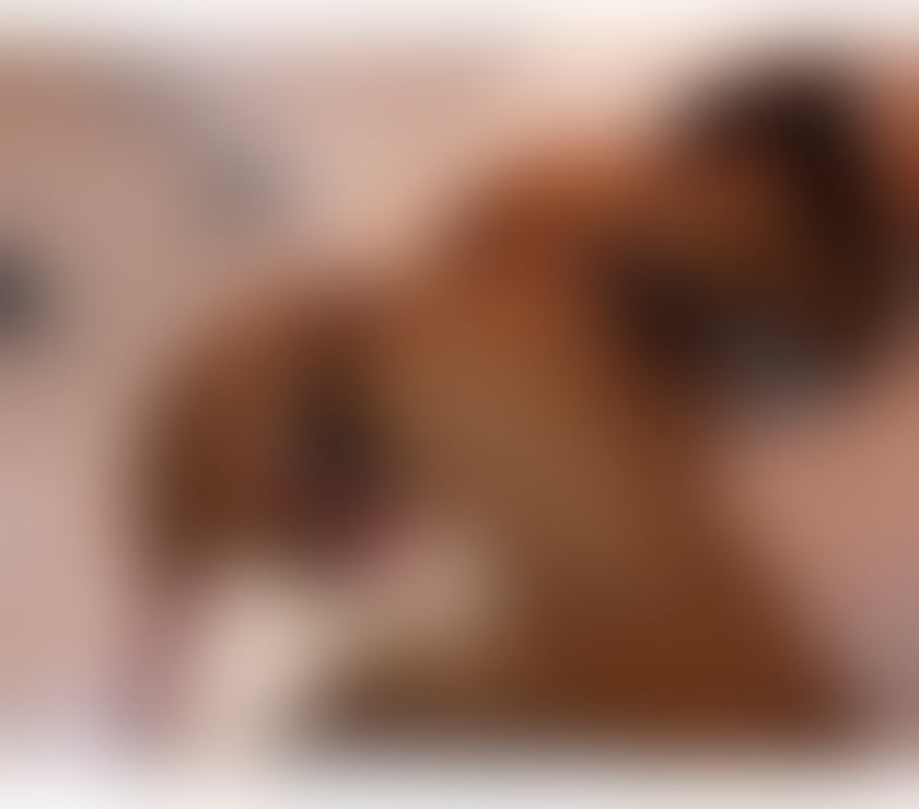 Escorts Buckinghamshire High Wycombe - Buckinghamshire - Photos for LOVE PARTY GIrl sloppy BJ , ,Strapon 🍆⛓️mistress