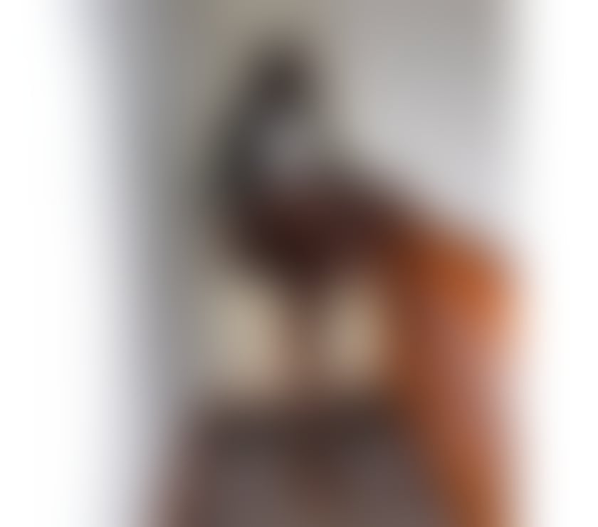 Trans Escorts East London Whitechapel - East London - Photos for Zambia Ébony 🤍✨🔥