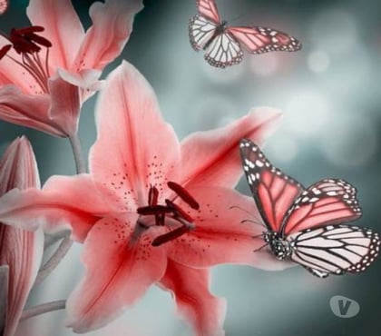 Professional massage Gloucester City Centre Gloucester - Photos for A Peaceful place where you can fell safe