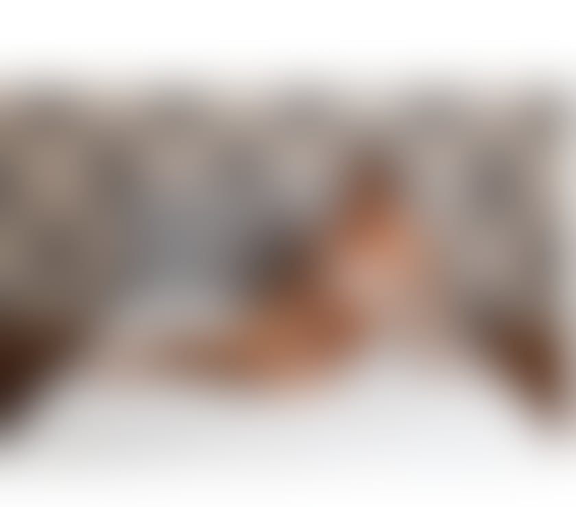 Trans Escorts West Midlands Birmingham - Photos for TOP✅BOTTOM✅🍸⚡️🍻Party (T,C,G