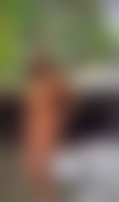 Escorts Somerset Bath and North East Somerset - 