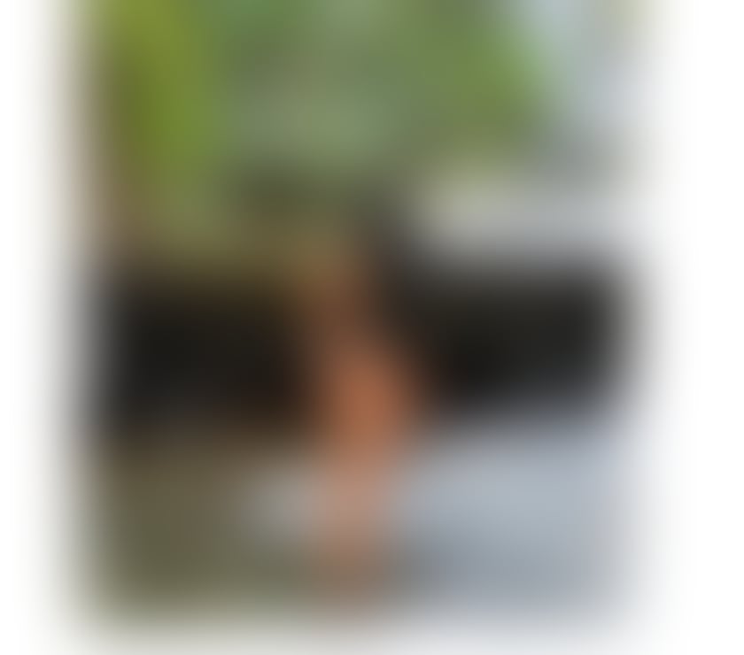 Escorts Somerset Bath and North East Somerset - Photos for Veronica, a captivating girl, 100 percent real.