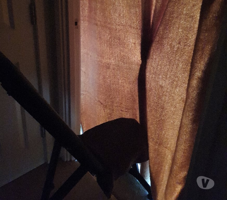 Escorts Edinburgh South Queensferry - Edinburgh - Photos for Need a discreet break? I've got you covered...