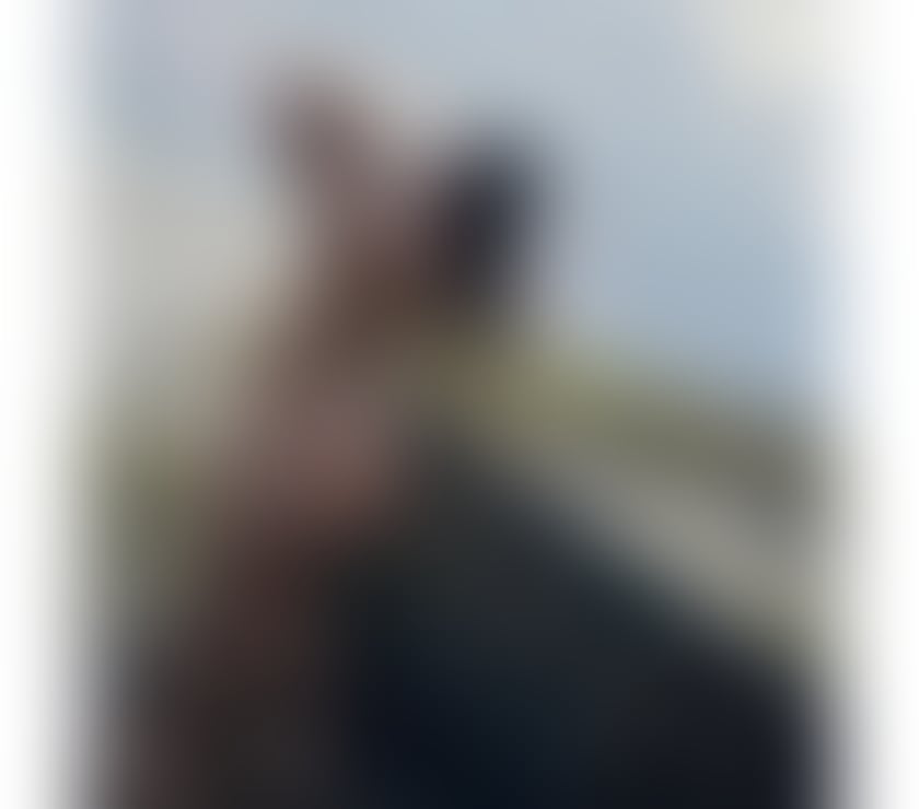 Escorts Somerset Taunton - Somerset - Photos for Stephany 🇧🇷 Party girl 🍾🥂🍑