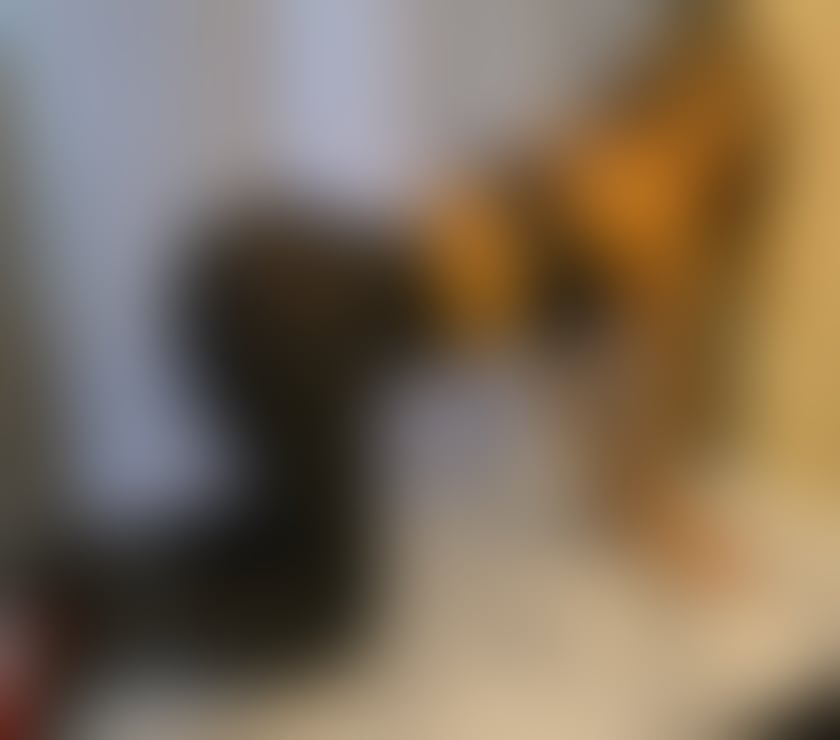 Trans Escorts South East London East Croydon (Tramlink) Station - South East London - Photos for Ts,Celine from Brazil 🇧🇷 top and bottom