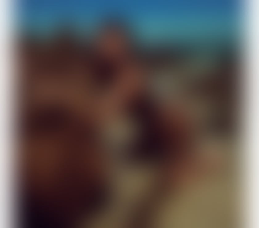 Escorts Kent Dartford - Photos for Maitê Salvatore