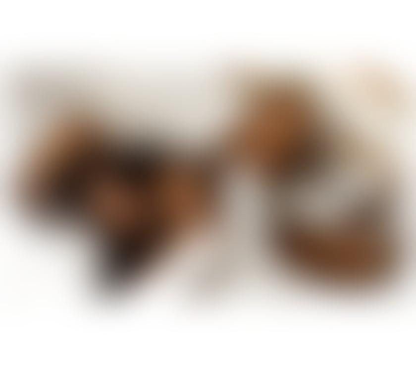 Escorts Devon Plymouth - Photos for Stunning and big boobs sammy Latin an party