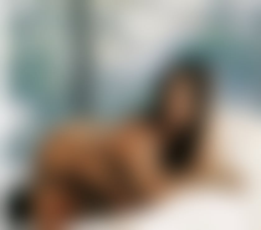 Escorts Shropshire Shrewsbury - Shropshire - Photos for NICOLY🔥 PARTY 🥂 GFE 🧡 FULL SERVICE 👑