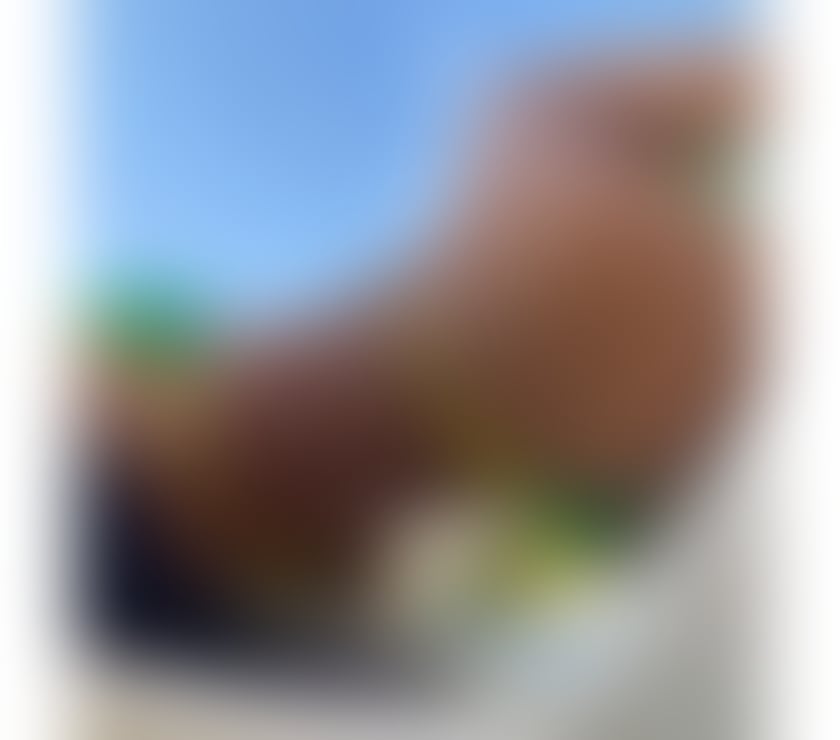 Escorts Slough Slough Town Centre - Slough - Photos for 💦TS 🍆JESSIE🇧🇷 PARTY GIRL🔞🔥DISCRET