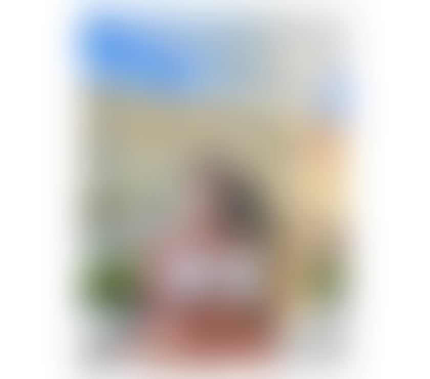 Trans Escorts Bristol Bristol City Centre - Bristol - Photos for TS VERY SEXY and horny