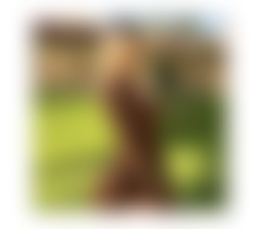 Escorts Edinburgh Edinburgh - Photos for Juliana ♨️Elegant, Warm & Passionate