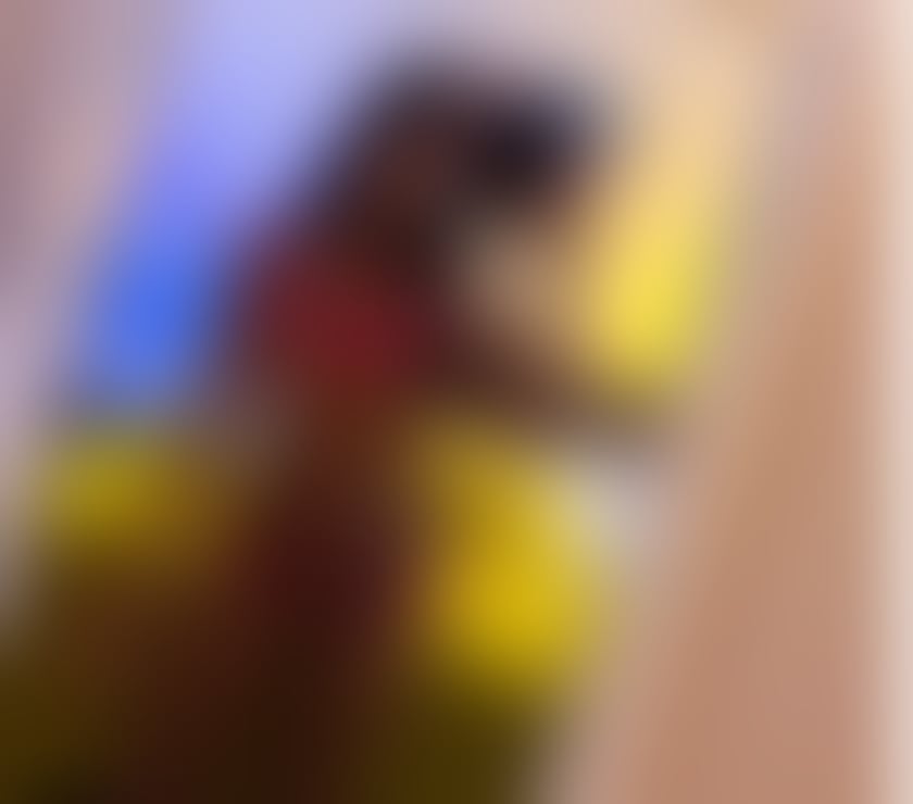 Escorts Essex Southend-on-Sea - Photos for NEW DWARF STHEPHANY 🍄😍100% REAL 🍾🇧🇷