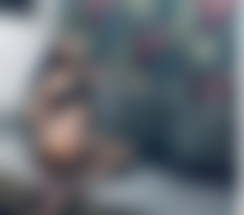 Trans Escorts Nottinghamshire Nottingham - Photos for ALL NIGHT PARTY KINKY TS FEW DAYS IN TOWN