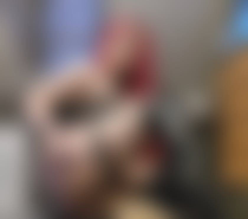 Escorts Leicestershire Leicester - Photos for After long time back