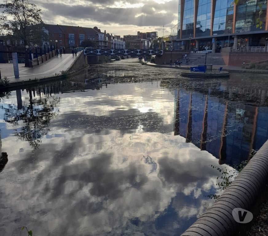 Escorts Suffolk East Suffolk - Photos for Company of a mature male to help indulge and for fill desire