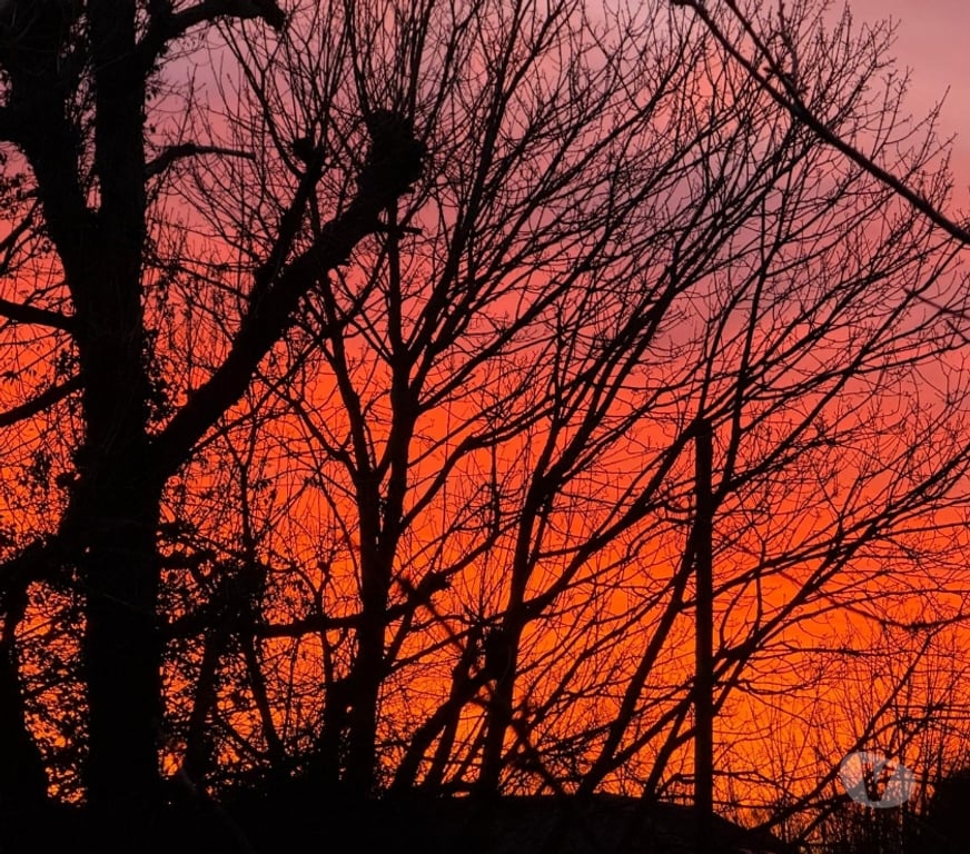 Escorts Suffolk East Suffolk - Photos for Company of a mature male to help indulge and for fill desire