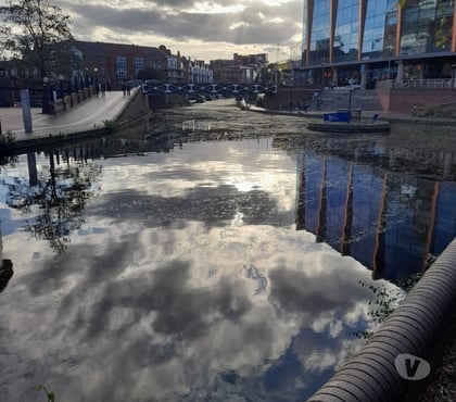  Escorts Southwold East Suffolk - Photos for Company of a mature male to help indulge and for fill desire