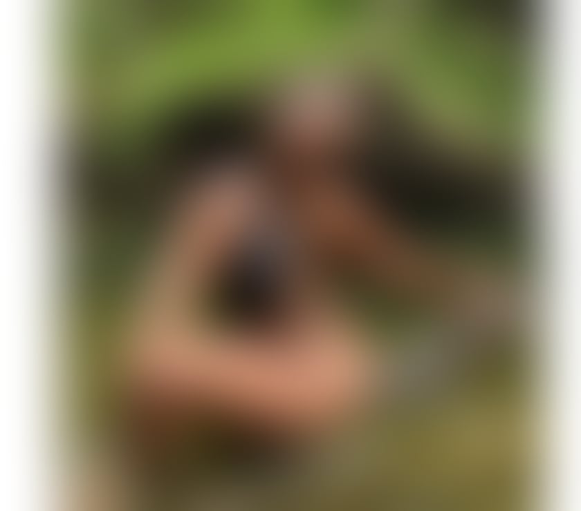 NEW BEST SERVICE CO1 1LD, XX OWO CIM LEVEL CHIDIMA