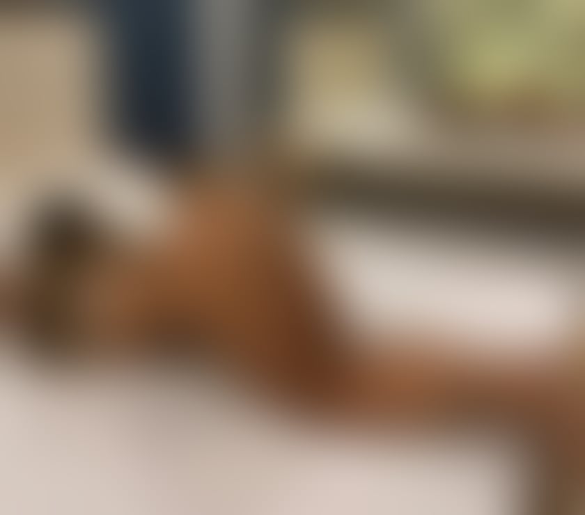 Escorts West Midlands Birmingham - Photos for COLUMBIAN Sofia ❤️ REAL PICS VID CALL TO VERIFY 0w0