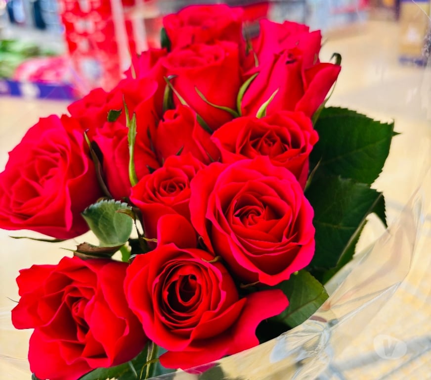 Full body massage West Midlands Birmingham - Photos for Massage therapy by Indian and Caribbean lady