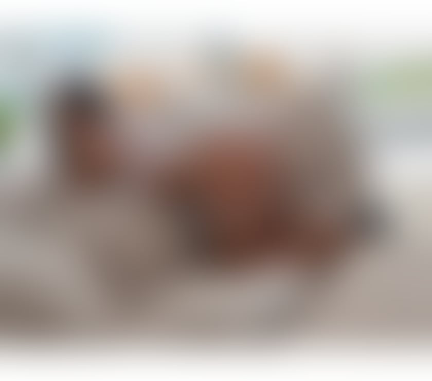 Escorts South West London Kensington - South West London - Photos for Party girl hot 🔥 Brazilian 🇧🇷