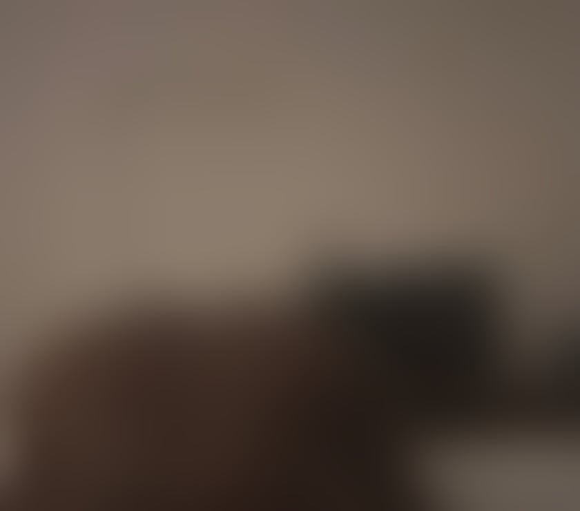 Escorts South West London Merton - Photos for Big ass ebony 🍆👅🍑🍑