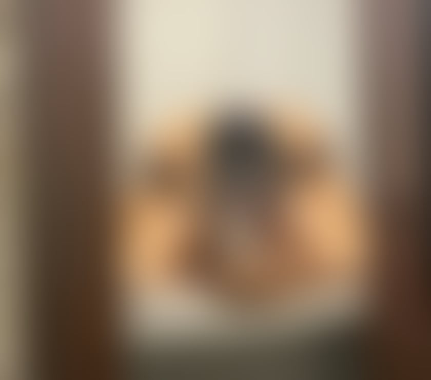 Trans Escorts West London Paddington - West London - Photos for Luxury trans Jamaican bbl