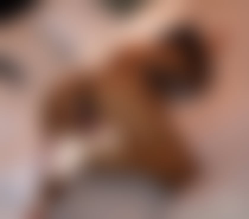 Escorts Buckinghamshire High Wycombe - Buckinghamshire - Photos for LOVE PARTY GIrl sloppy BJ , ,Strapon 🍆⛓️mistress