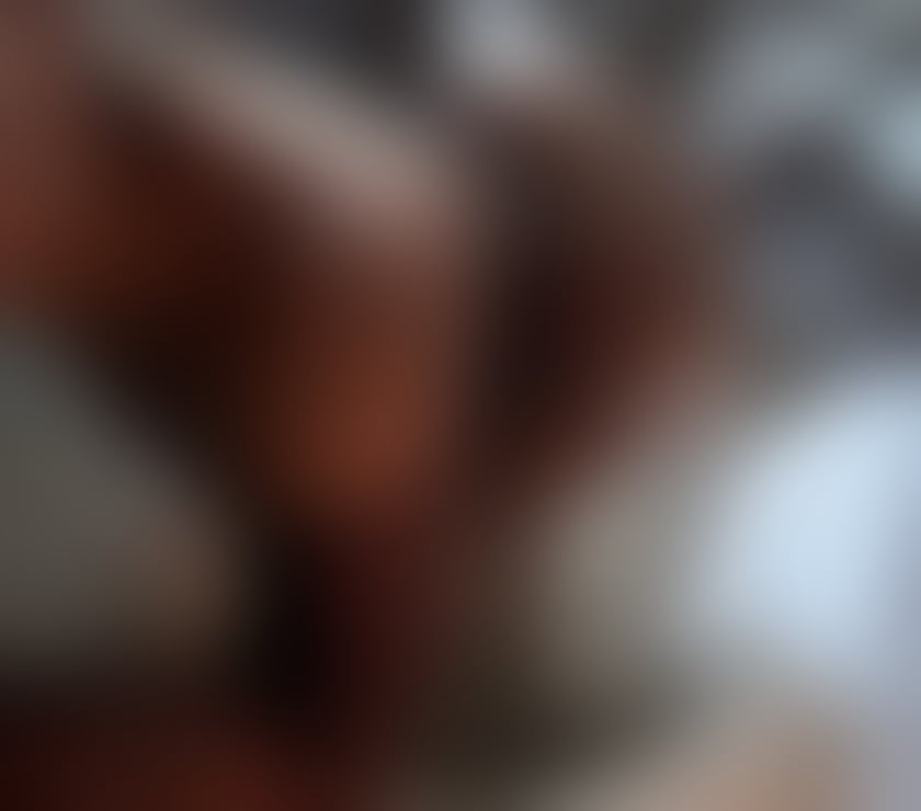 Escorts Somerset North Somerset - Photos for New in Town 🔥 Irresistible & Real💯 party💯💣