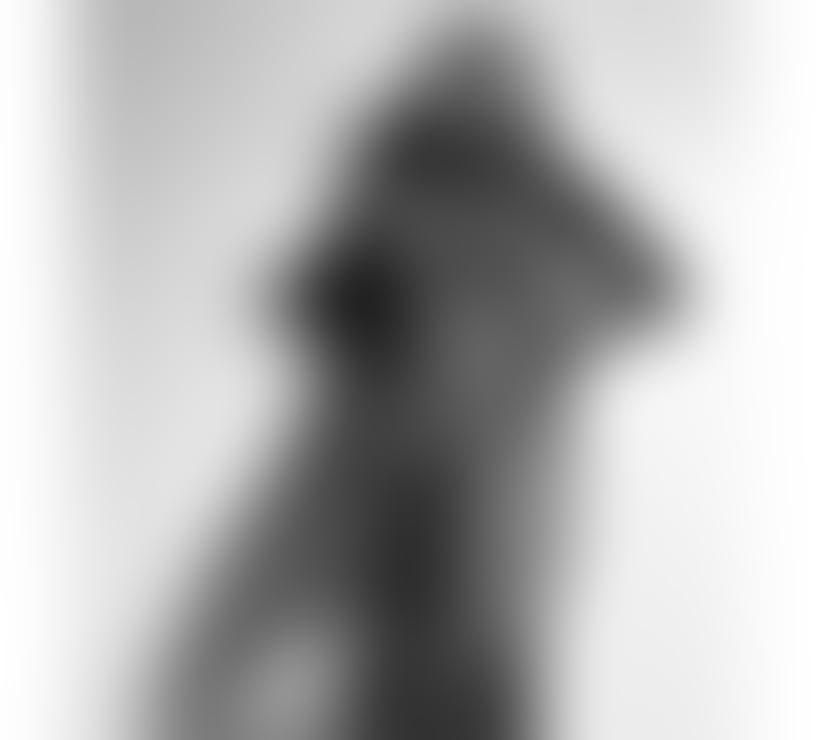 Escorts Norfolk King's Lynn and West Norfolk - Photos for Sophia💖NEW IN CITY🇧🇷 F.S