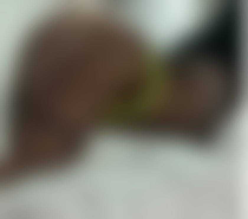 Escorts West Midlands Birmingham - Photos for Massage and escort👄