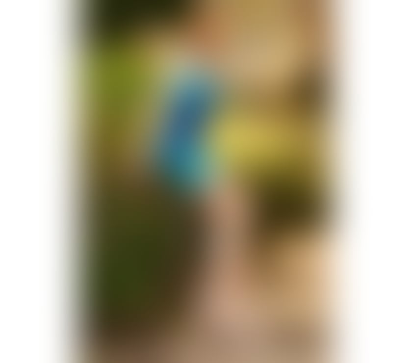 Escorts North Yorkshire Middlesbrough - Photos for 💖Nita Sexy Thai Bangkok Lady Boy New Into Town💖