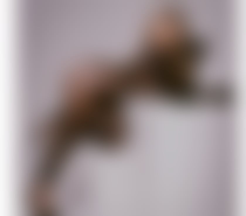 QUEEN BRAZILIAN 💎 NAUGHTY 💎 FULL SERVICE 💎 GFE