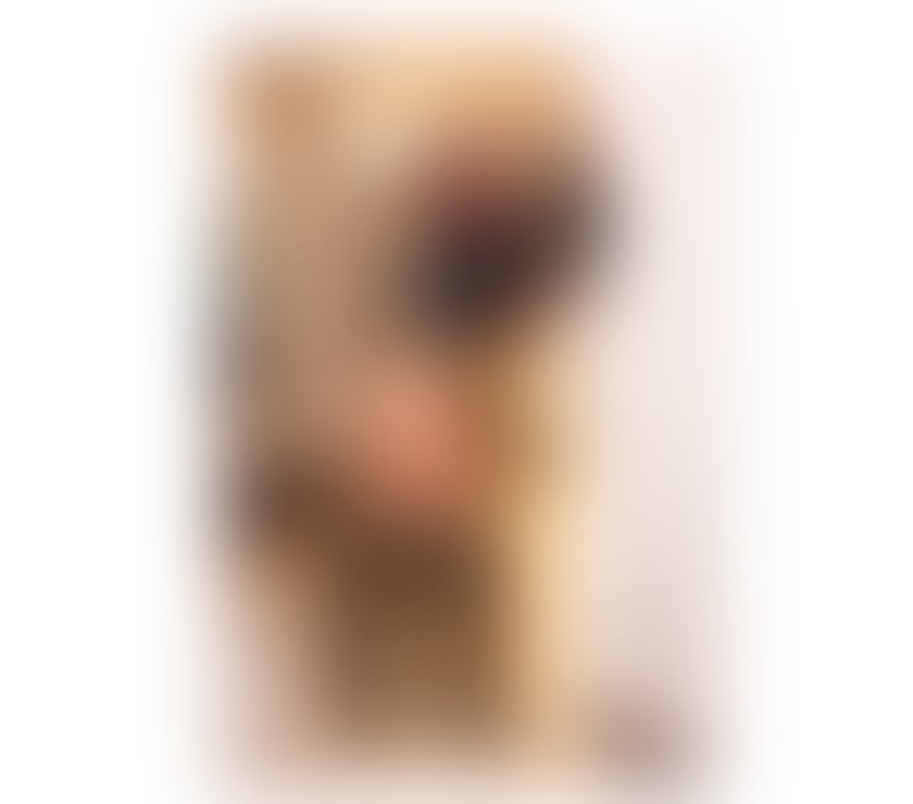 Escorts Bedfordshire Luton - Photos for Come and have a new experience