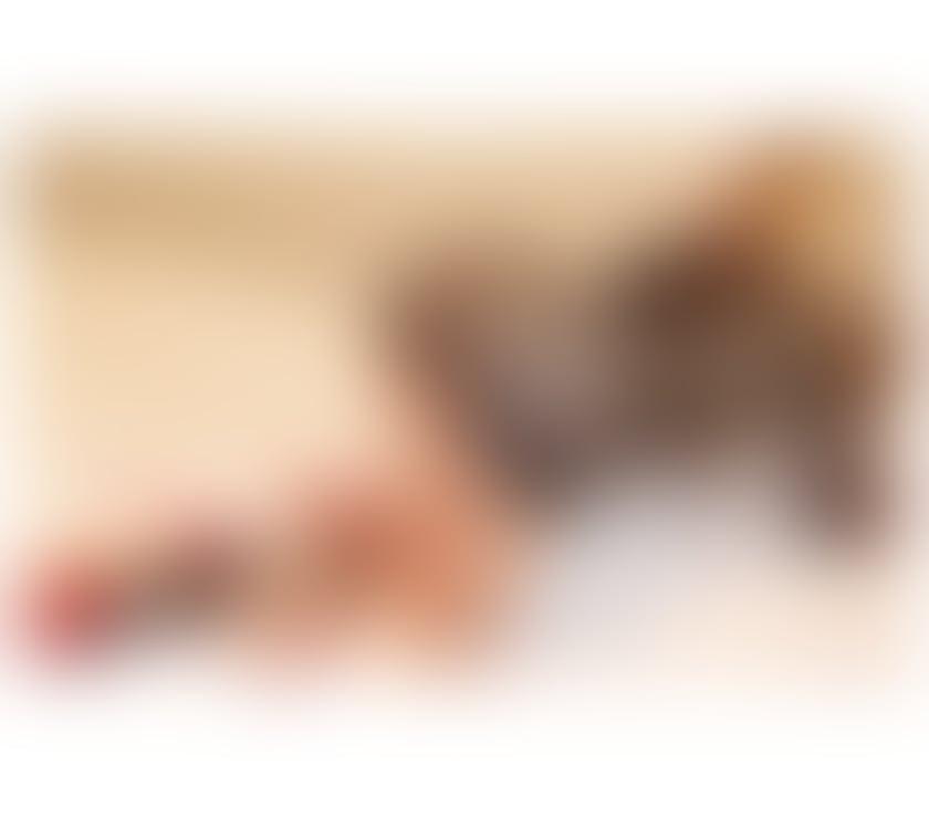 Escorts Essex Chelmsford - Photos for ALEXIA 🔞SWEET AND INNOCENT🫠 DEVIL