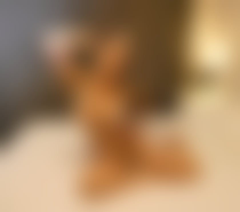 Escorts Windsor and Maidenhead Maidenhead - Windsor and Maidenhead - Photos for Relaxing and Revitalising Massage by English Sadie!