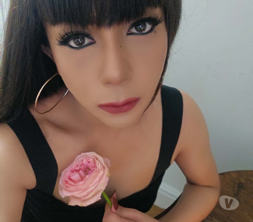 Escorts Hertfordshire St. Albans - Photos for Very Very Naughty Sexy Thai TS Ladyboy new in Town x