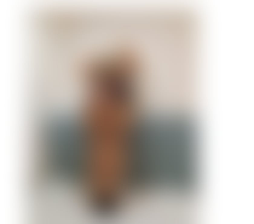 Escorts West Yorkshire Leeds - Photos for POLISH BLONDE Vanessa * OWO * GFE * FRENCH KISSING *