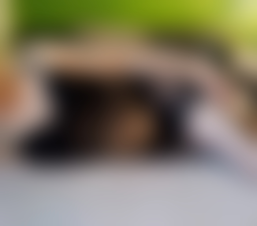 Escorts Somerset Bridgwater - Somerset - Photos for Sophie ✨ English, early thirties.