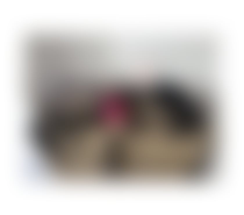 Escorts Essex Southend-on-Sea - Photos for I'll be in town until Saturday morning xx nikol