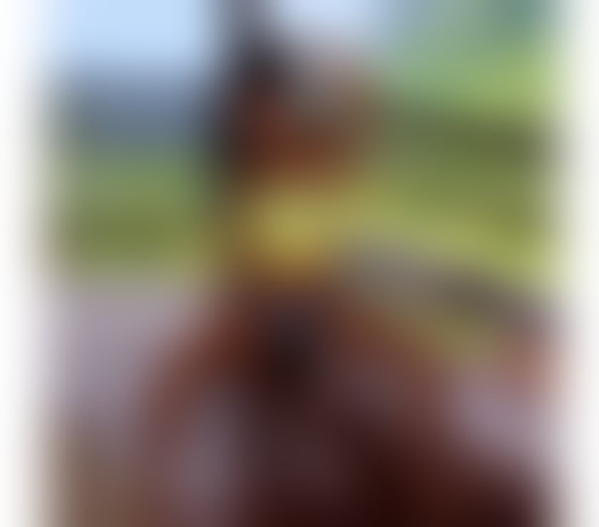 Escorts Liverpool City Centre Liverpool - Photos for Aurora New in town party girl 🎉