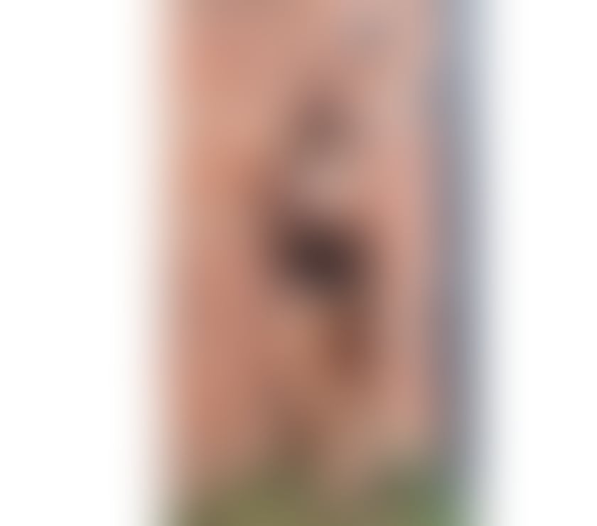 Escorts Tyne and Wear Newcastle upon Tyne - Photos for ❤️‍🔥Hot Sunee Thai massage 💯Sexy Cuties 😘