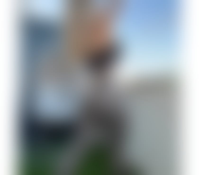 Escorts Fife Cadham - Fife - Photos for Supreme Queen💎🫦💋