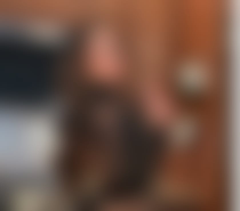 Escorts Bedfordshire Luton - Photos for JESSY🇧🇷💦SEXY GIRL